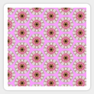 Pink gerberas on pink Sticker